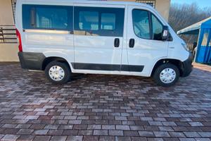 FIAT DUCATO PANORAMA/9 POSTI