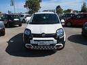 fiat-panda-cross-1-0-firefly-s-s-hybrid