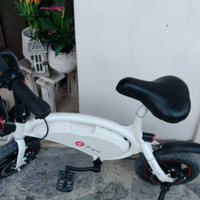 Bici elettrica