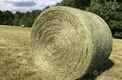 Fieno primo e secondo taglio
