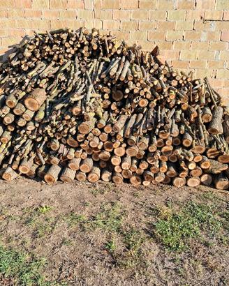 Legna da ardere di NOCE SECCO – Già tagliata a 30