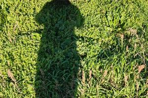 fiat panda trekkins 1.1 i