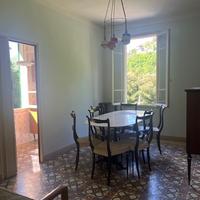 Alloggio vintage immerso nella natura