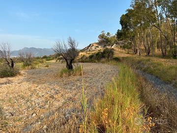 Terreno agricolo di 11.000 mq