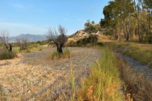Terreno agricolo di 11.000 mq
