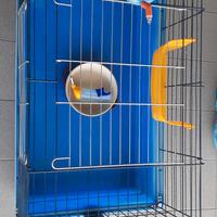 Gabbia per conigli o cincillà o altri roditori