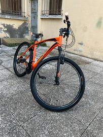 Bici mountain bike