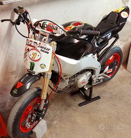 Mini gp 