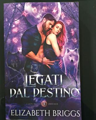 Legati dal destino