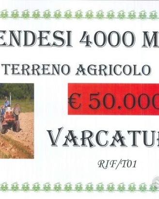 Terreno agricolo di 4000 mq a Varcaturo