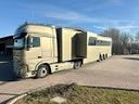 bilico-daf-trasporto-cavalli