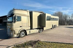 Bilico Daf trasporto cavalli