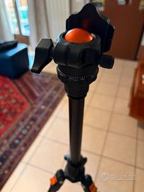 Treppiede