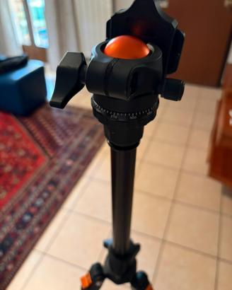 Treppiede