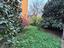 Immagine 19