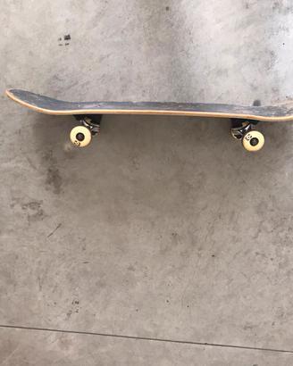 skateboard professionale 