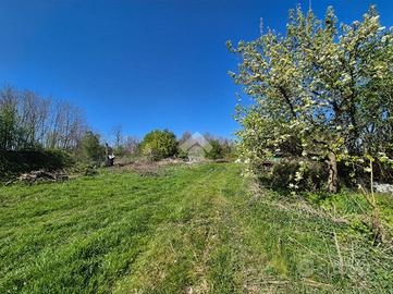 TER. AGRICOLO A MEZZAGO