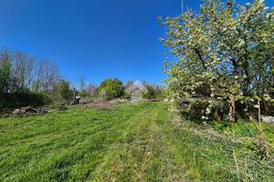 TER. AGRICOLO A MEZZAGO