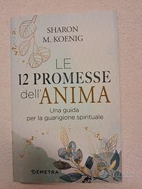 Le 12 promesse dell'anima