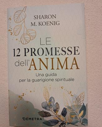 Le 12 promesse dell'anima