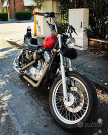 Sportster 883 harley davidson chopper