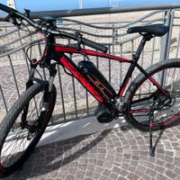 Bici pedalata assistita