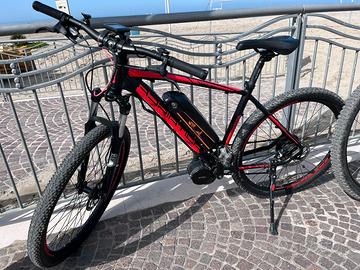 Bici pedalata assistita