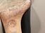Immagine 5