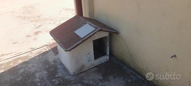 cuccia
