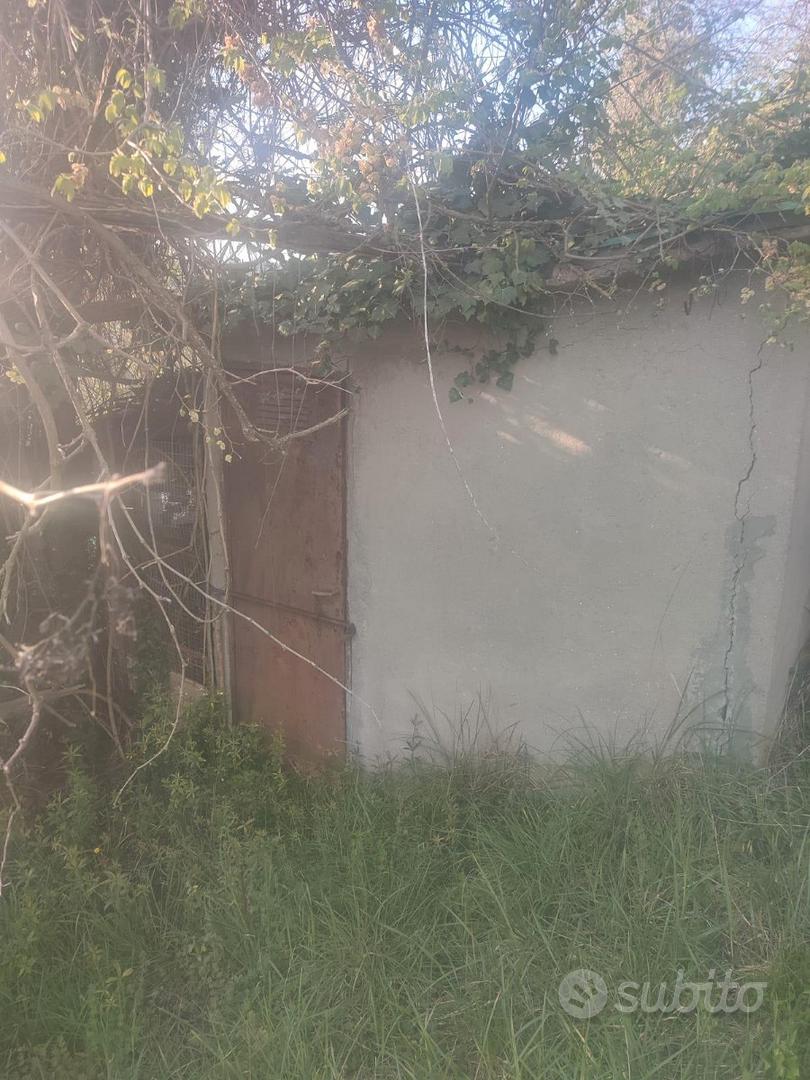 Terreno agricolo zona Mezzaluna - Mentana - Vista 5