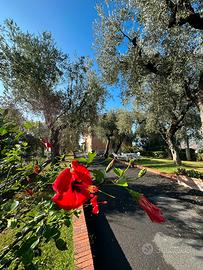 Vacanze in campagna affacciati sul mare