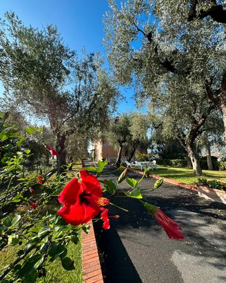 Vacanze in campagna affacciati sul mare
