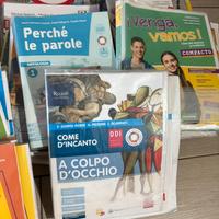 Libri scuola media