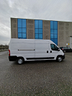 fiat-ducato