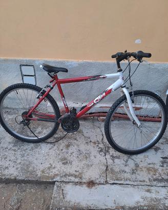 bici uomo