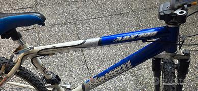 mountain bike Carnielli