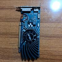 scheda video Asus Geforce Gt 620