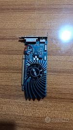 scheda video Asus Geforce Gt 620
