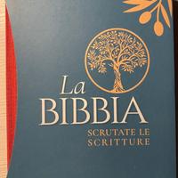 La Bibbia scrutate le scritture