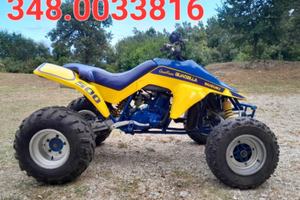 Suzuki quadzilla LT 500 R 2 tempi