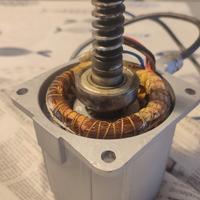 rotore e statore Came Frog