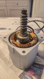 rotore e statore Came Frog