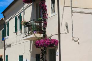 Appartamento ristrutturato