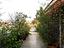 Immagine 20