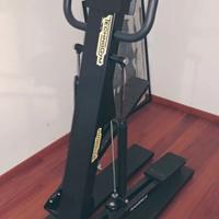 Stepper rampica Technogym 
