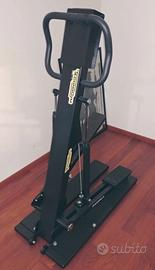 Stepper rampica Technogym 