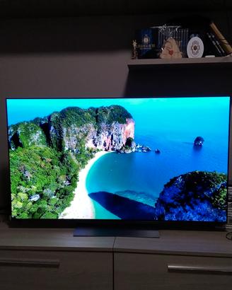 LG c3 OLED Evo 55 pollici
