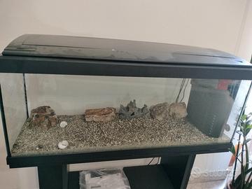 Acquario