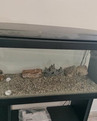 Acquario