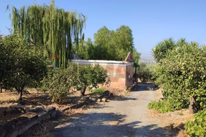 Terreno - Paternò